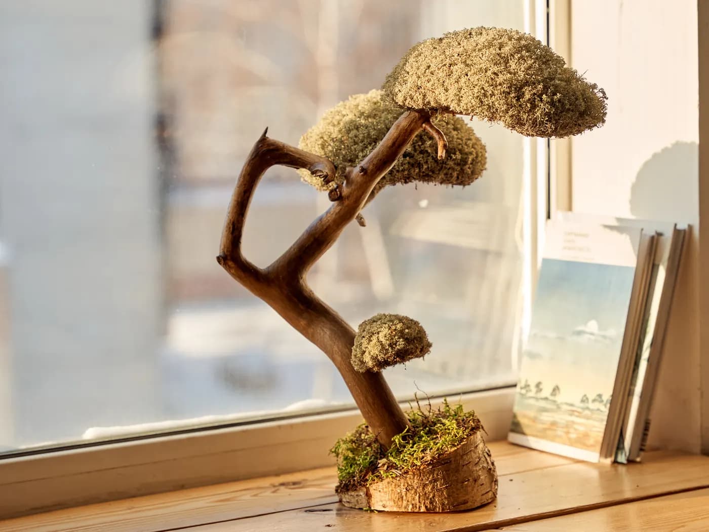 Процесс создания деревянных изделий в мастерской Botanic Bonsai